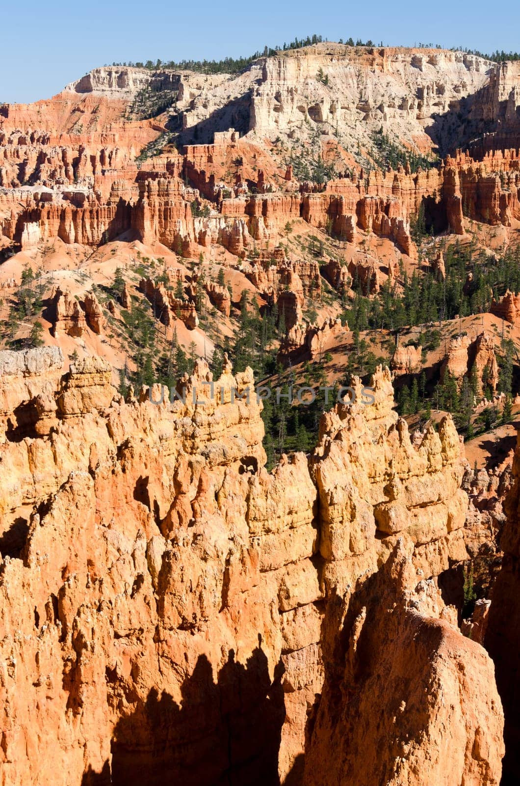 Bryce Canyon National Park in Utah in America