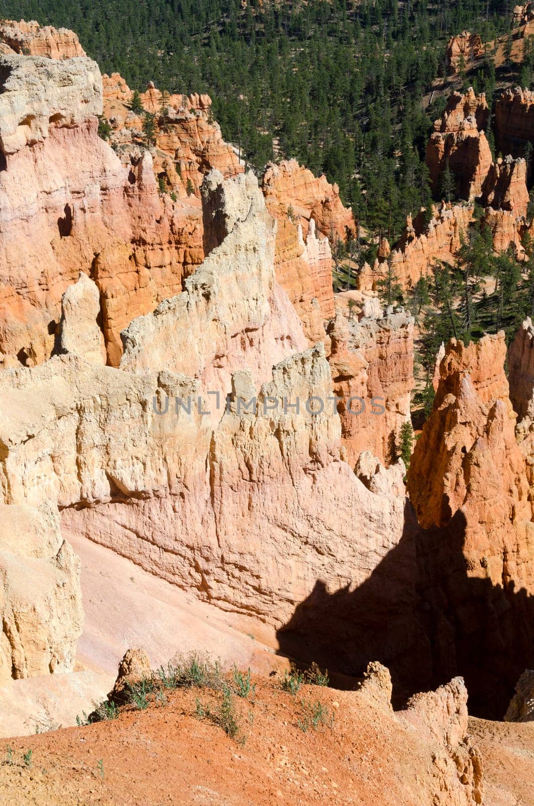 Bryce Canyon National Park in Utah in America