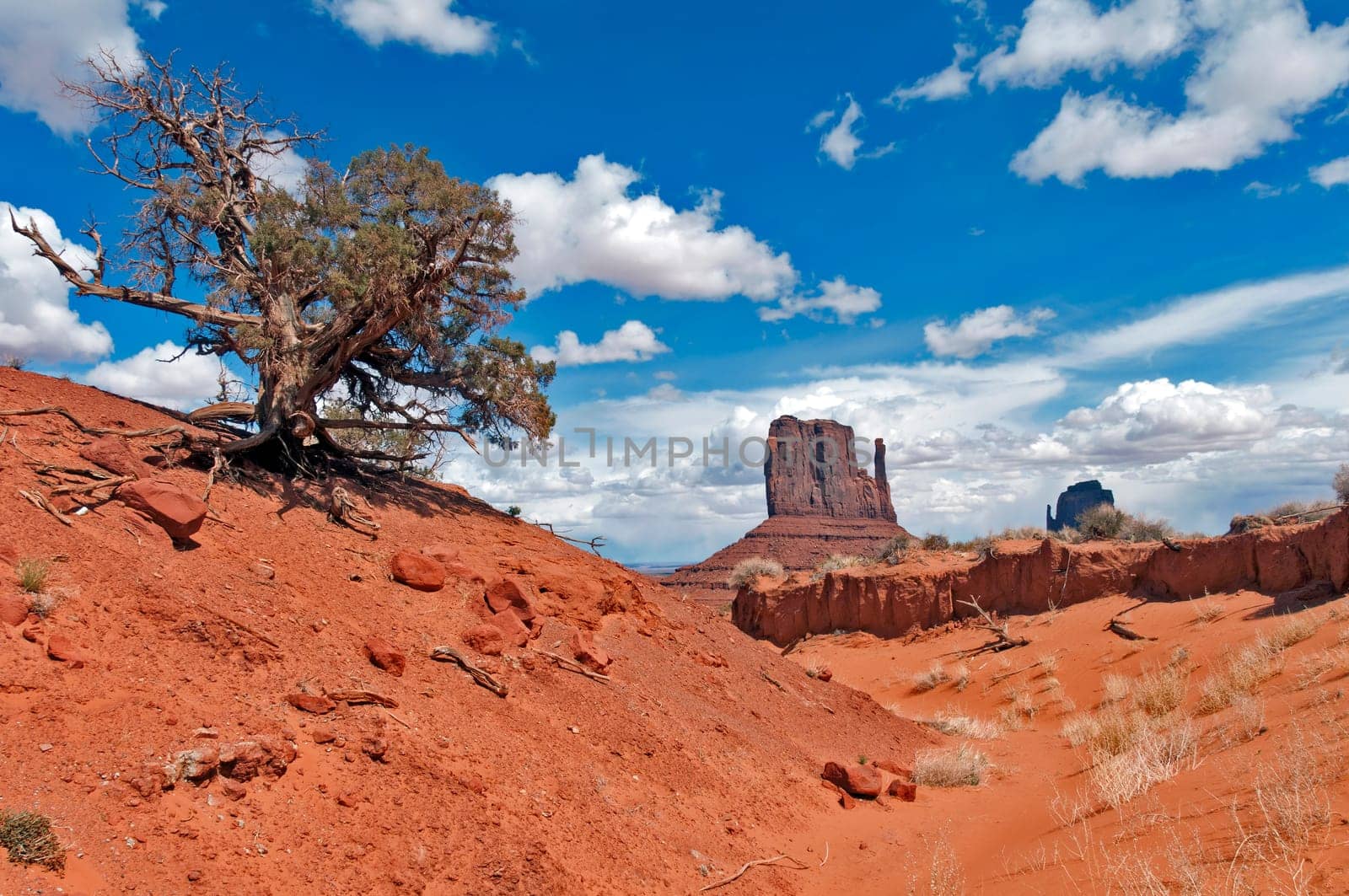 Monument Valley