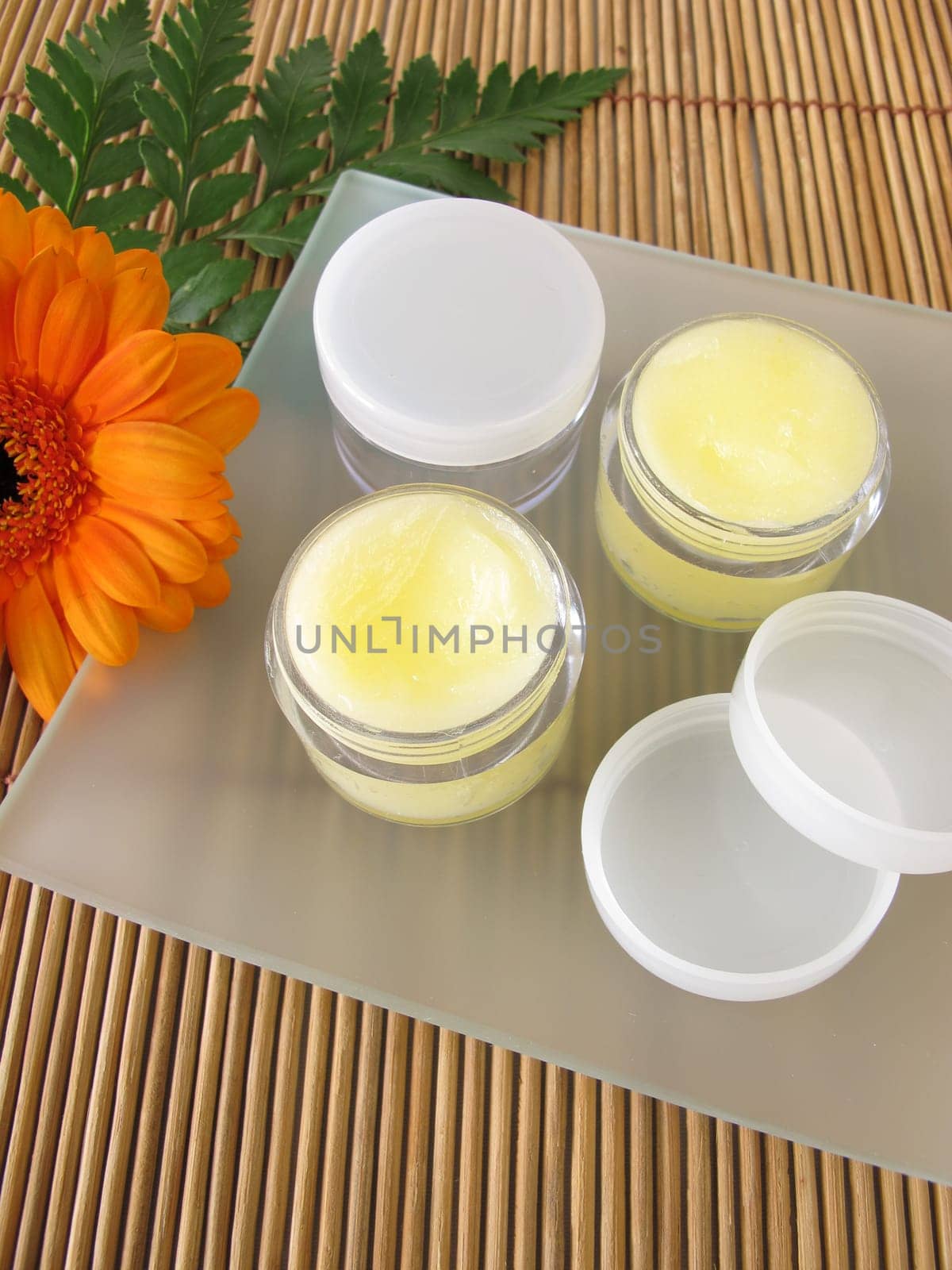 Lip balm with honey
