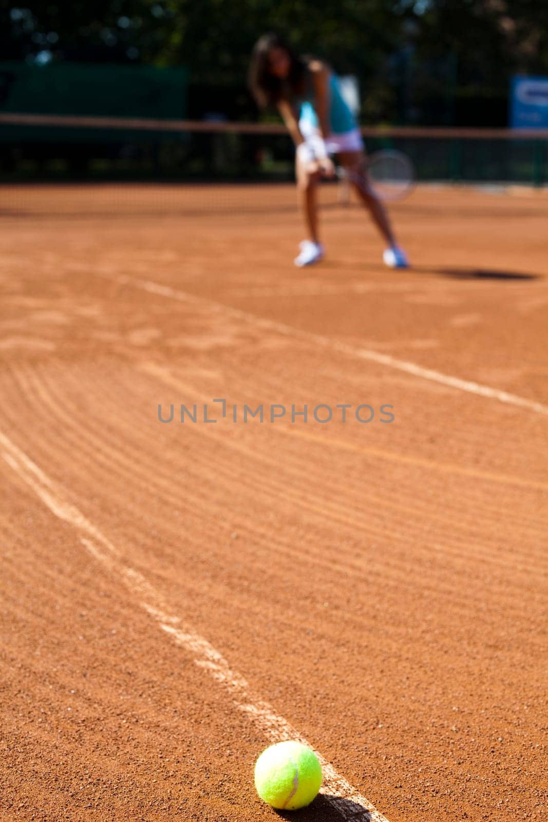 Tennis Ball