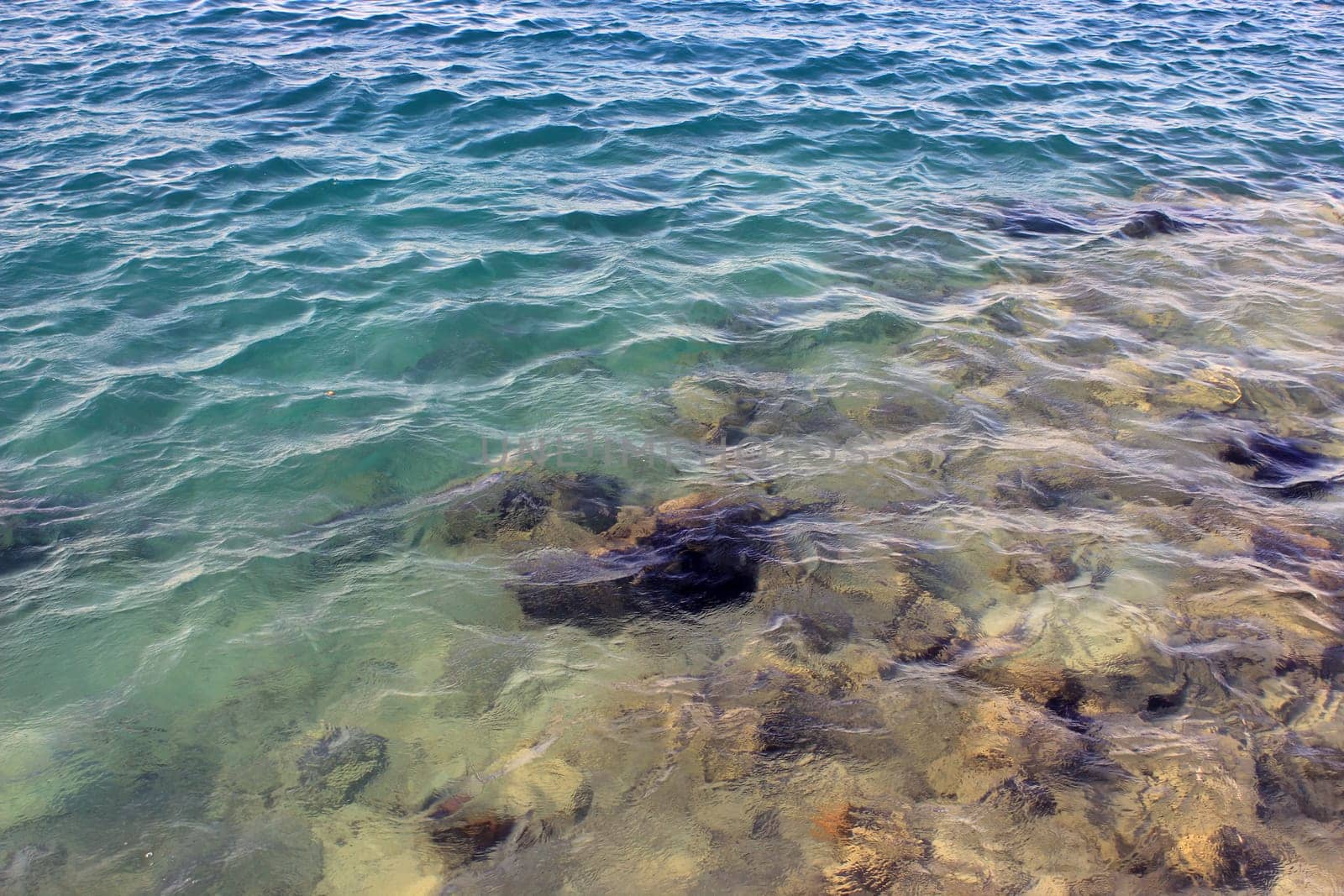 sea beah at sun light