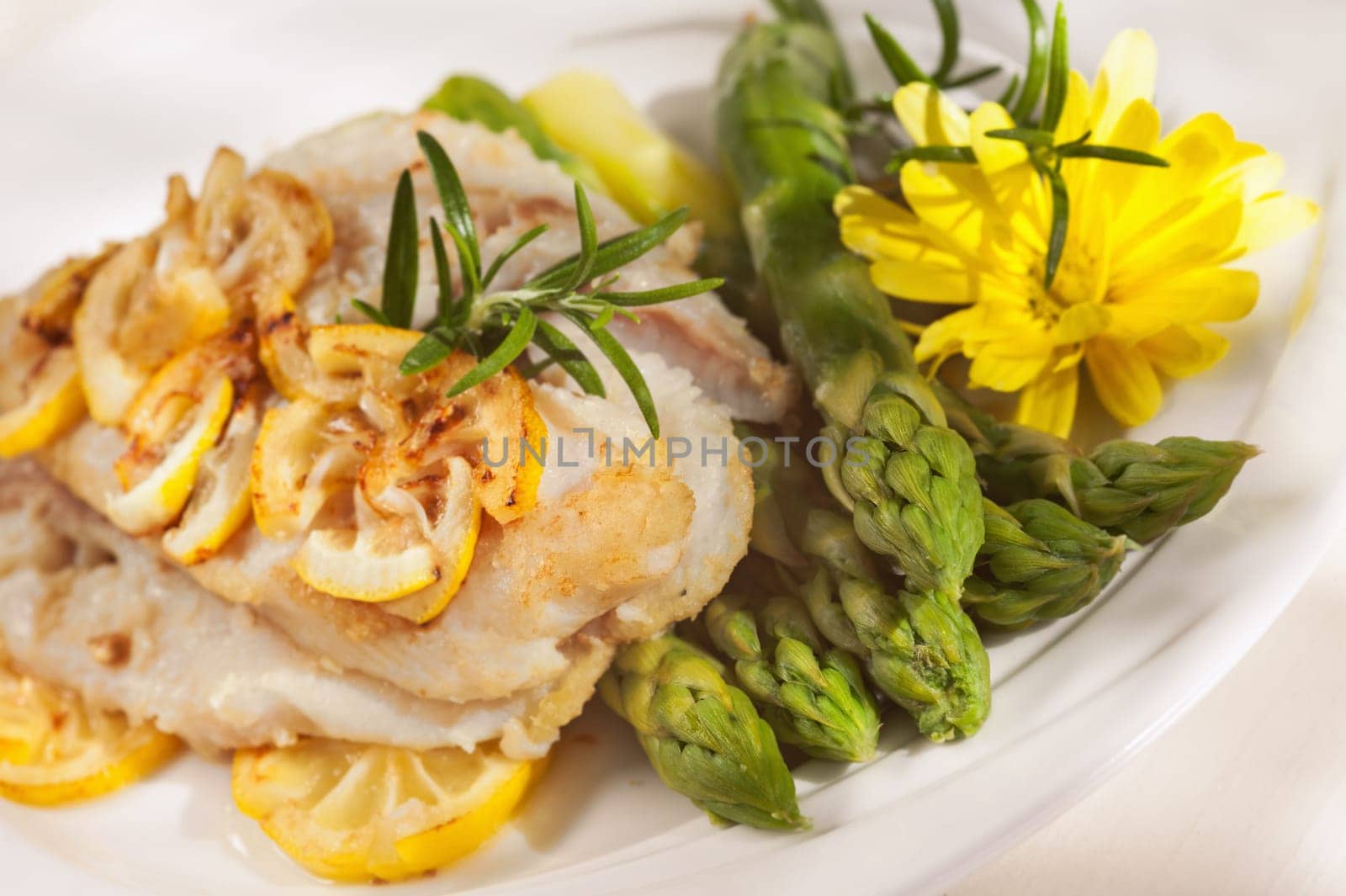 Pan fried fillet of white fish,lemon sauce and vegetables on white background