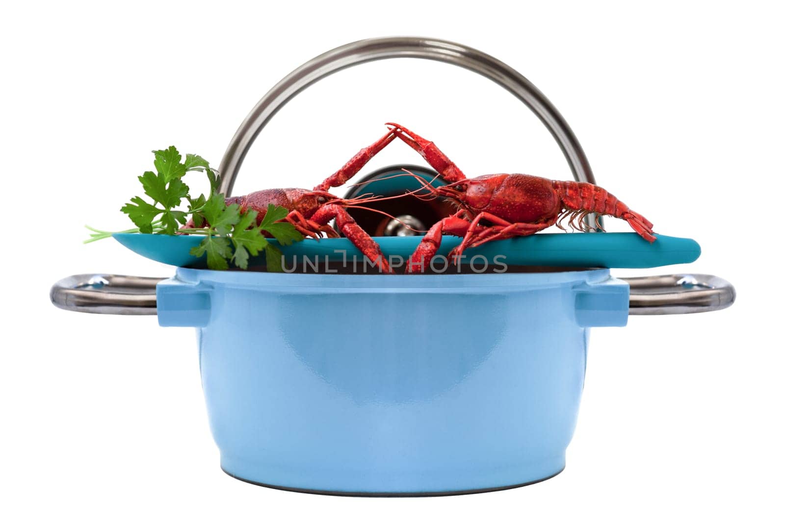 Two red crabs on the edge of a saucepan on a white background.