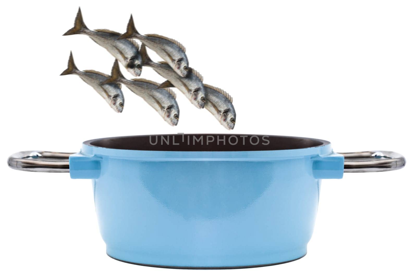 Blue cooking pot and jumping fish isolated on white