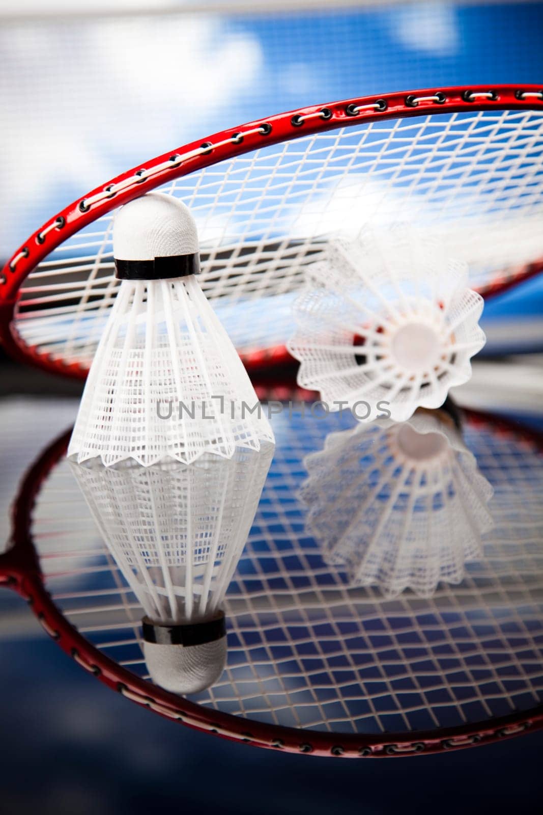 Shuttlecock on badminton racket