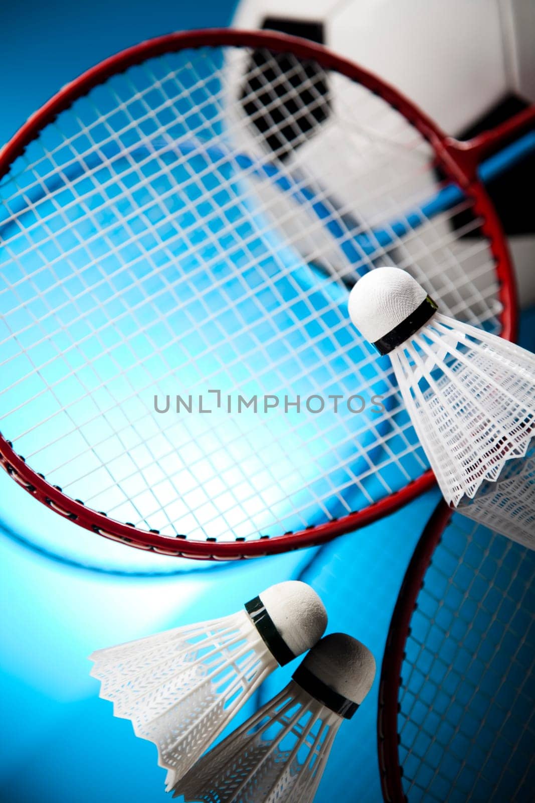 Shuttlecock on badminton racket