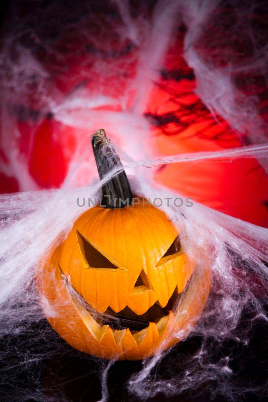 Halloween pumpkin Jack, spider web