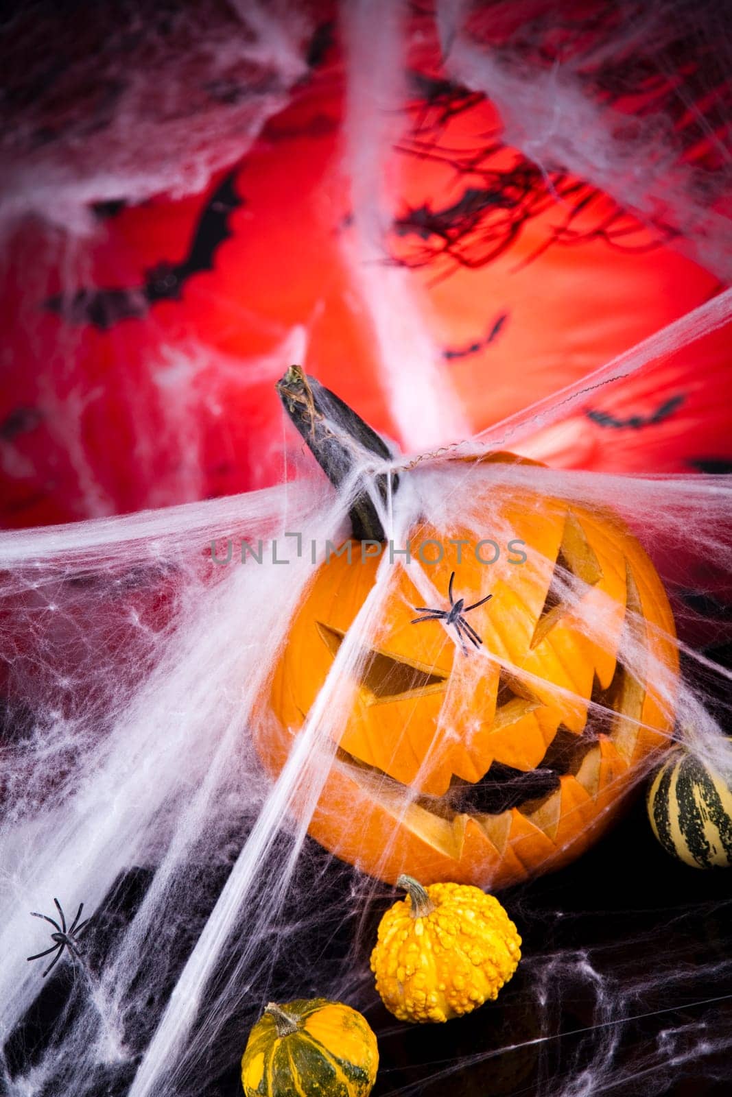 Halloween pumpkin Jack, spider web