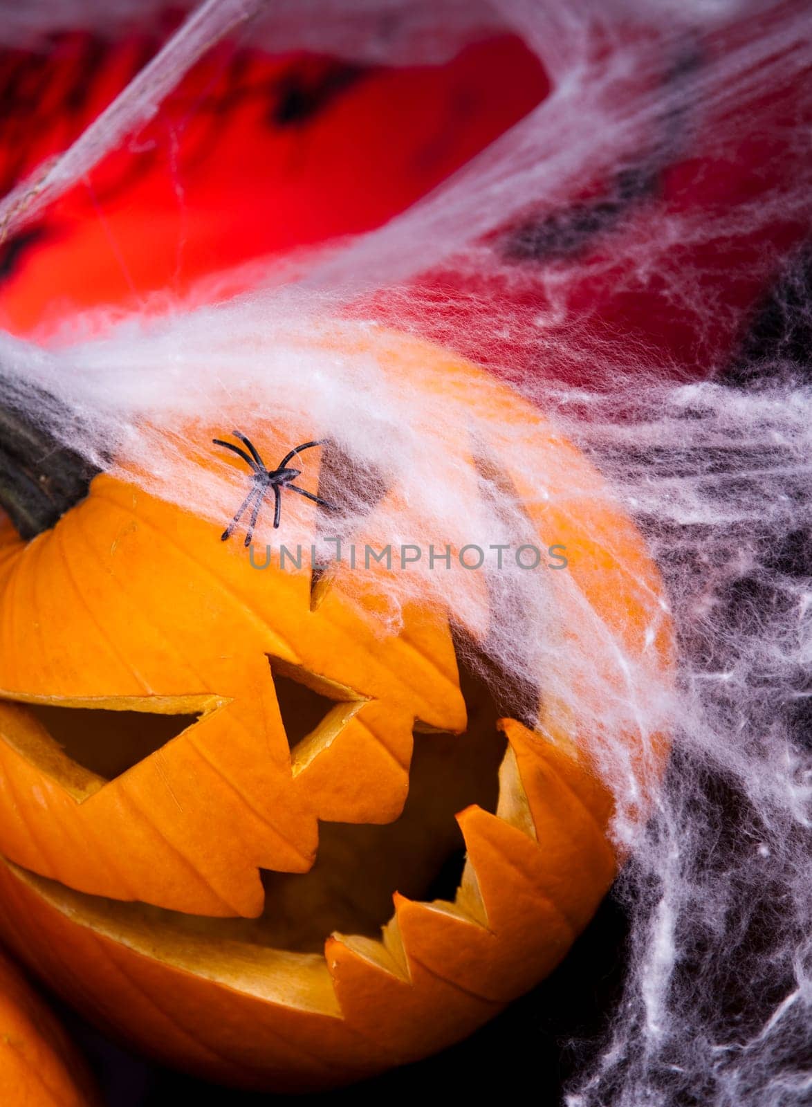 Scary Jack, halloween pumpkin and spider
