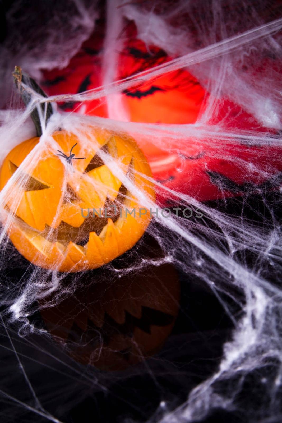 Scary Jack, halloween pumpkin and spider