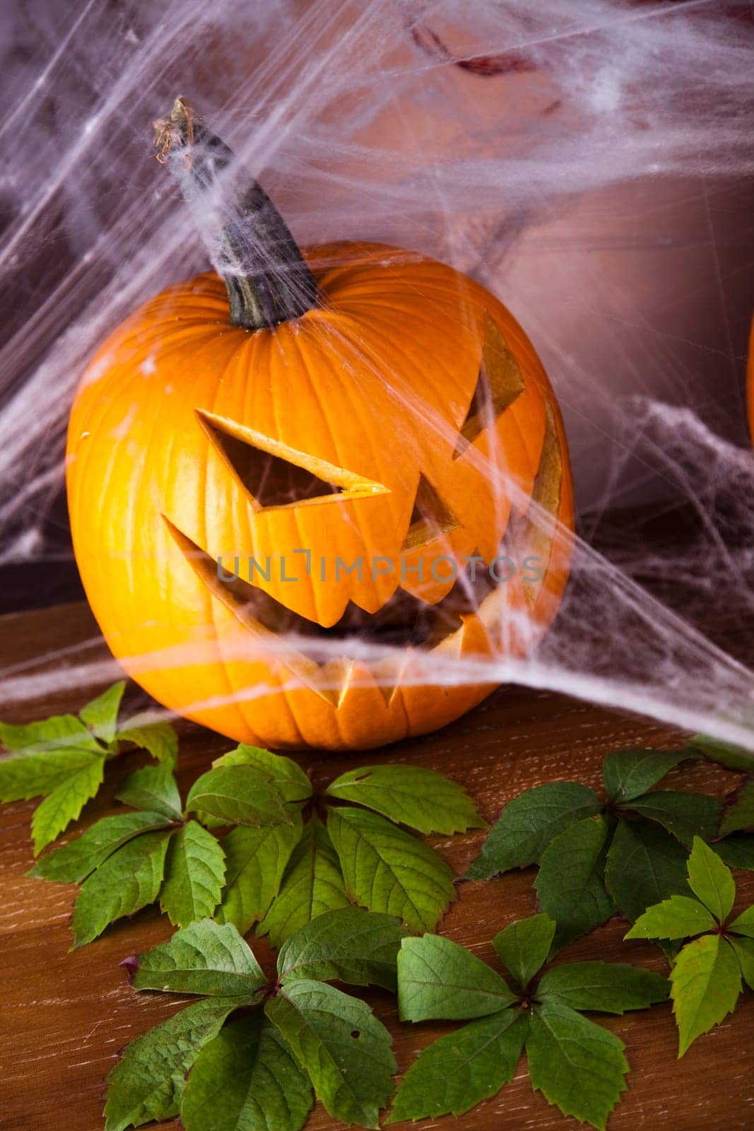 Scary Jack, halloween pumpkin and spider