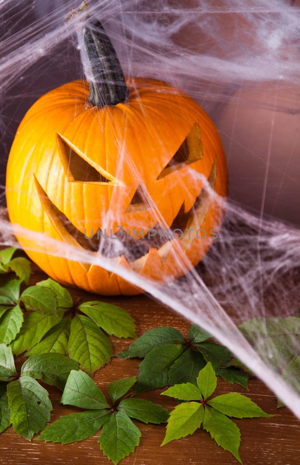 Spider web, Halloween pumpkin Jack