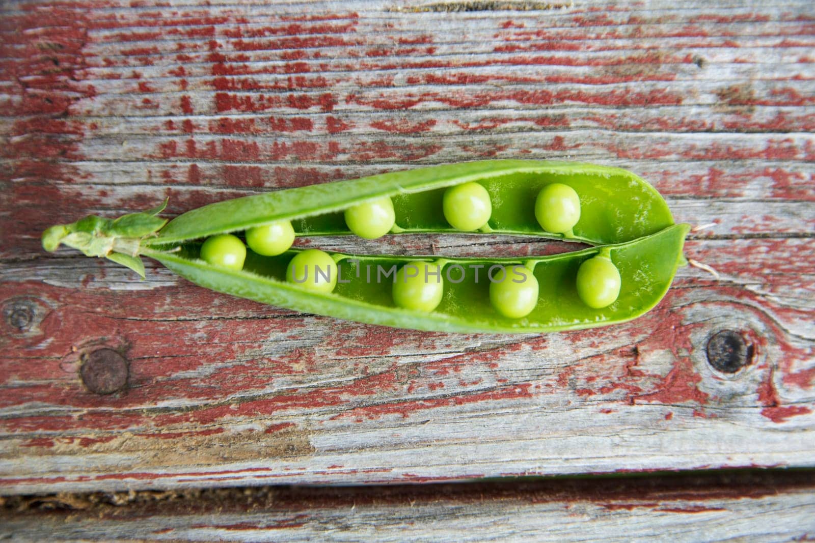 Green pod with many ripe peas on table