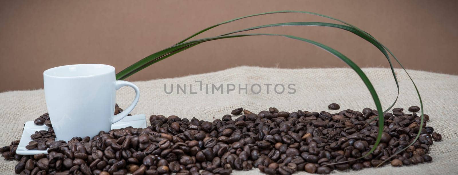 Still life about coffee with cups and beans