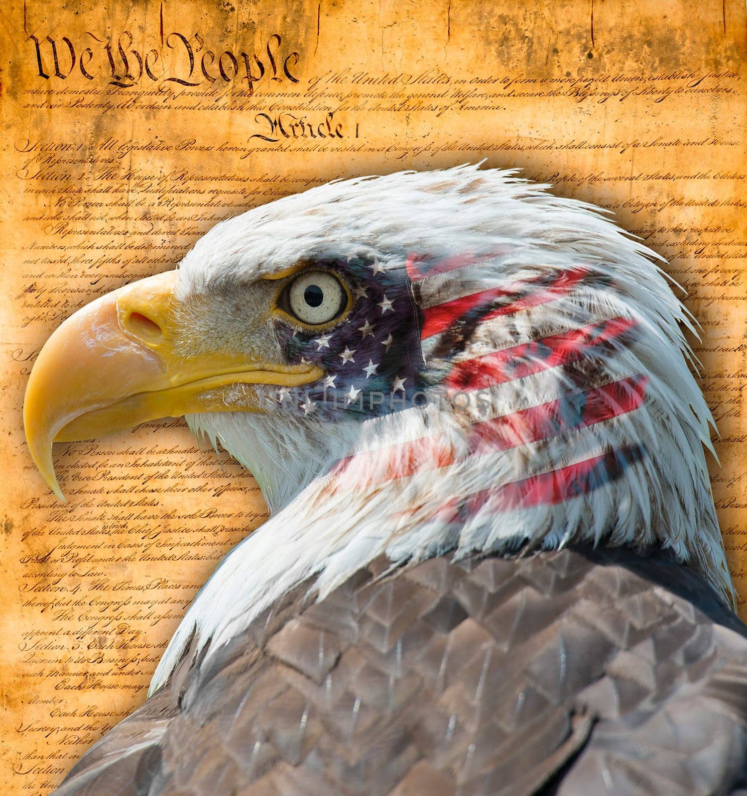 American flag with the bald eagle and  some historic documents.