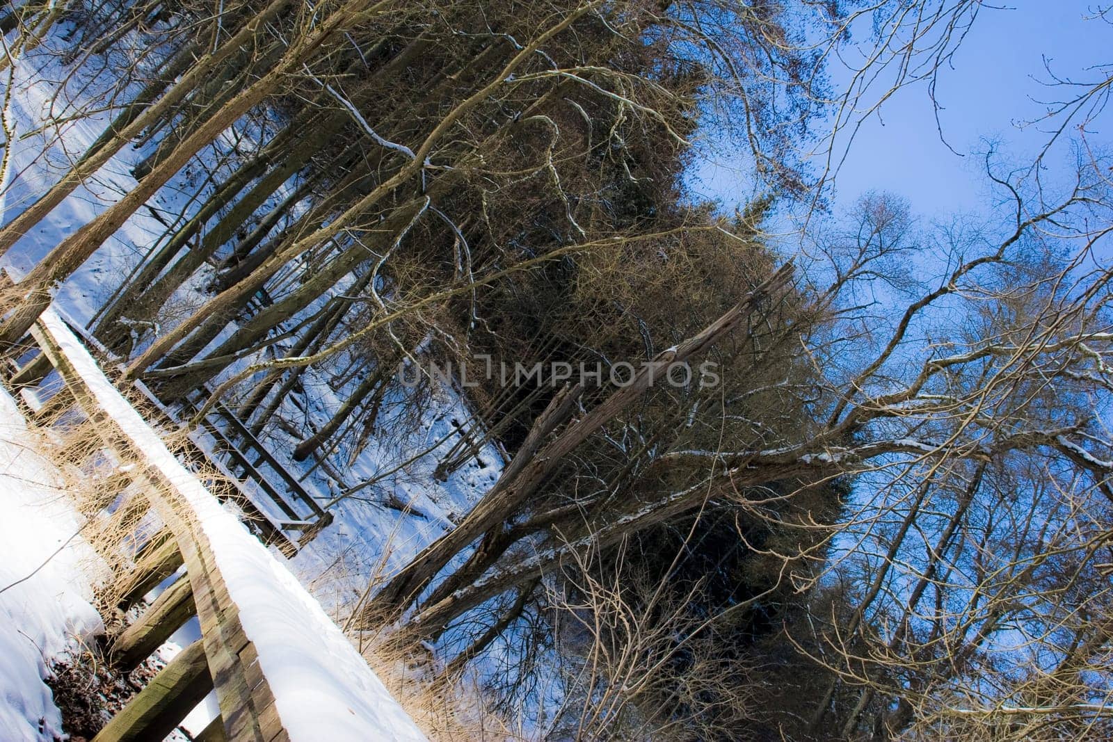 Winter around Bad Wildungen