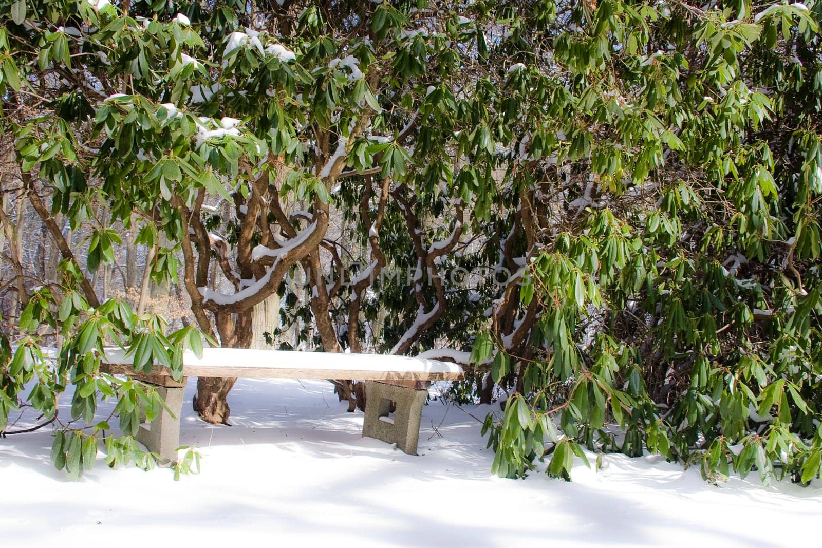 Winter around Bad Wildungen