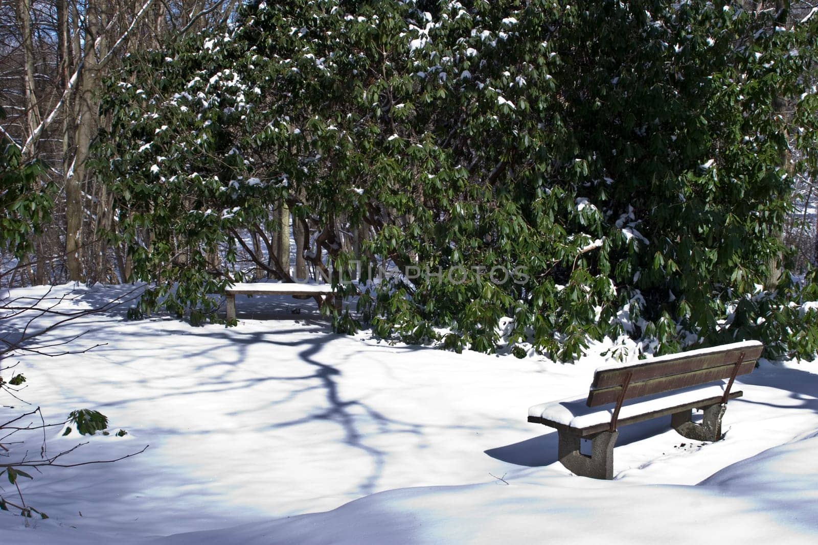 Winter around Bad Wildungen