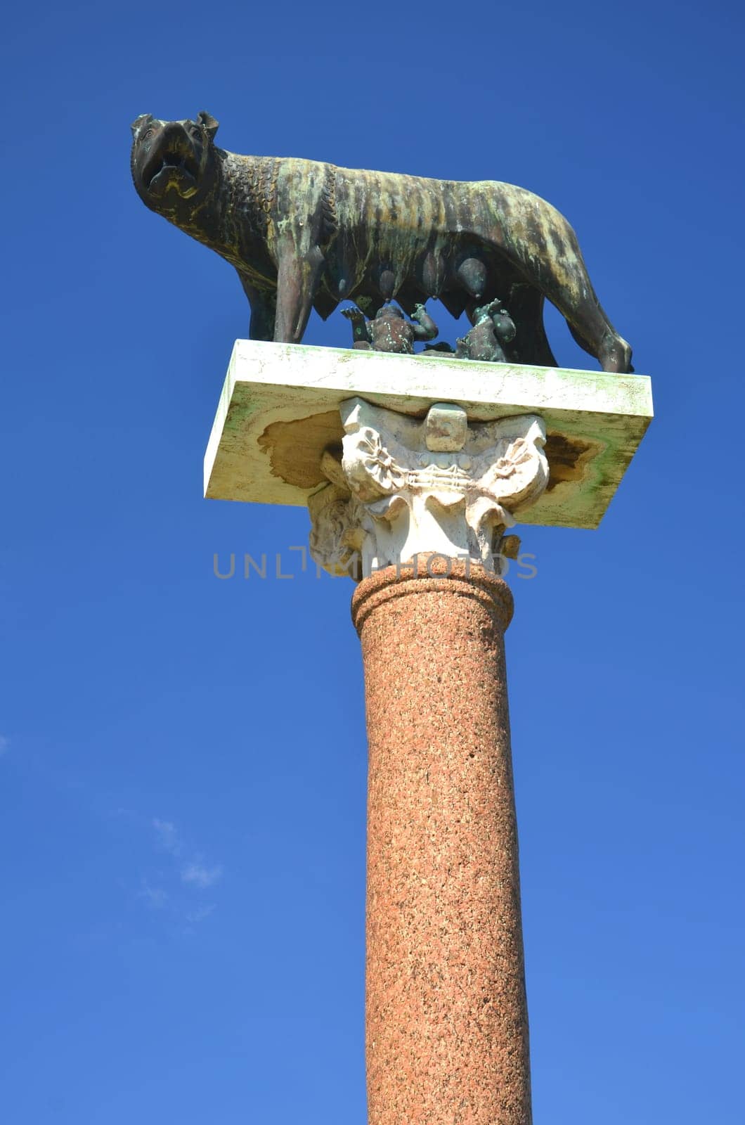 The statue of she-wolf on Square of Miracles in Pisa, Italy