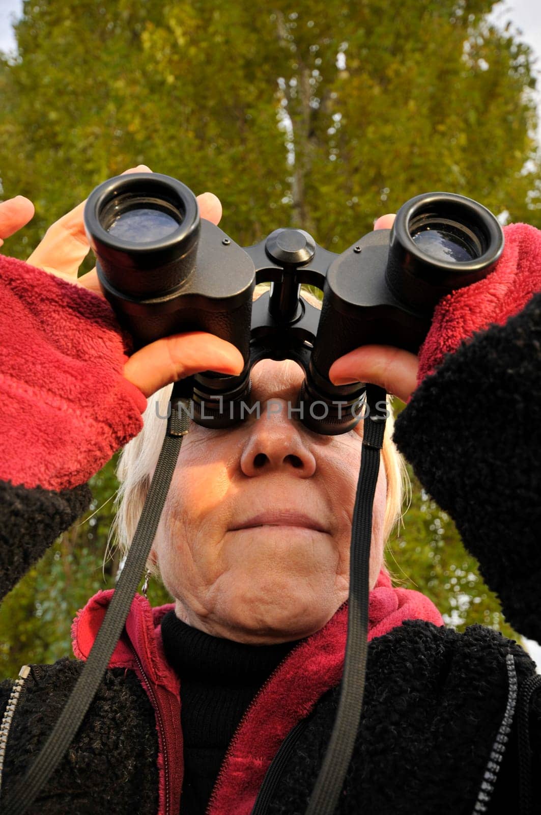 Mature woman looks through binoculars at the edge of the forest