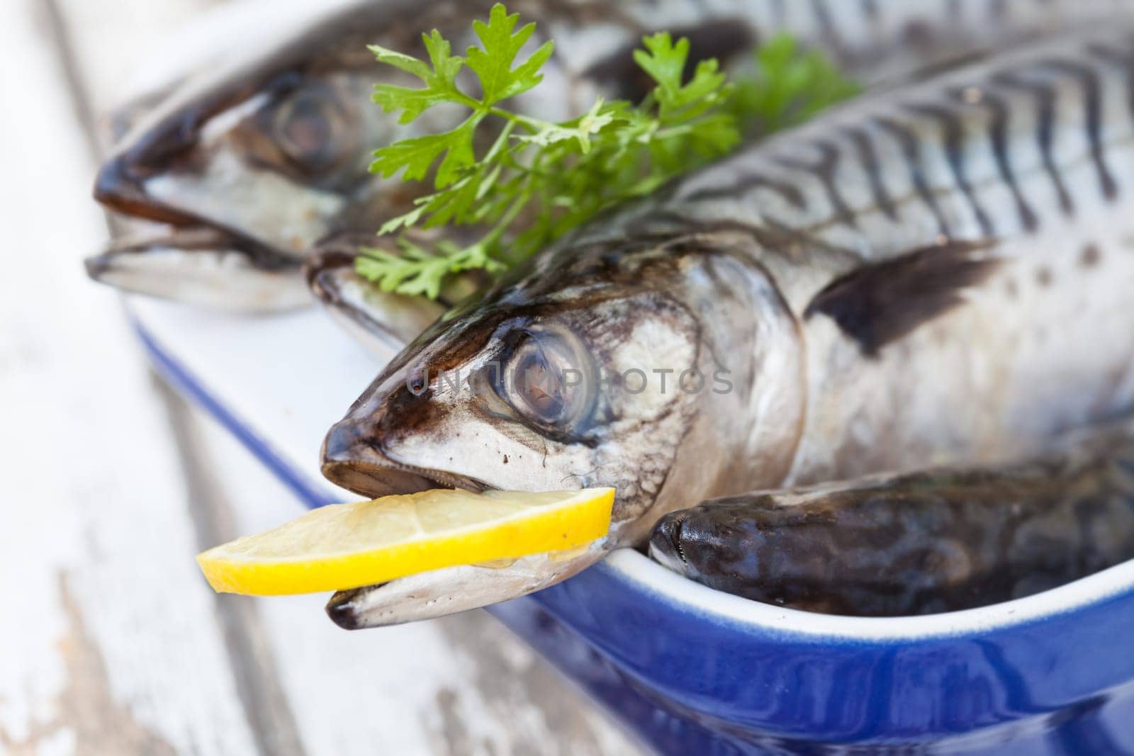 Still life mackerel fish on an old wooden table with lemon