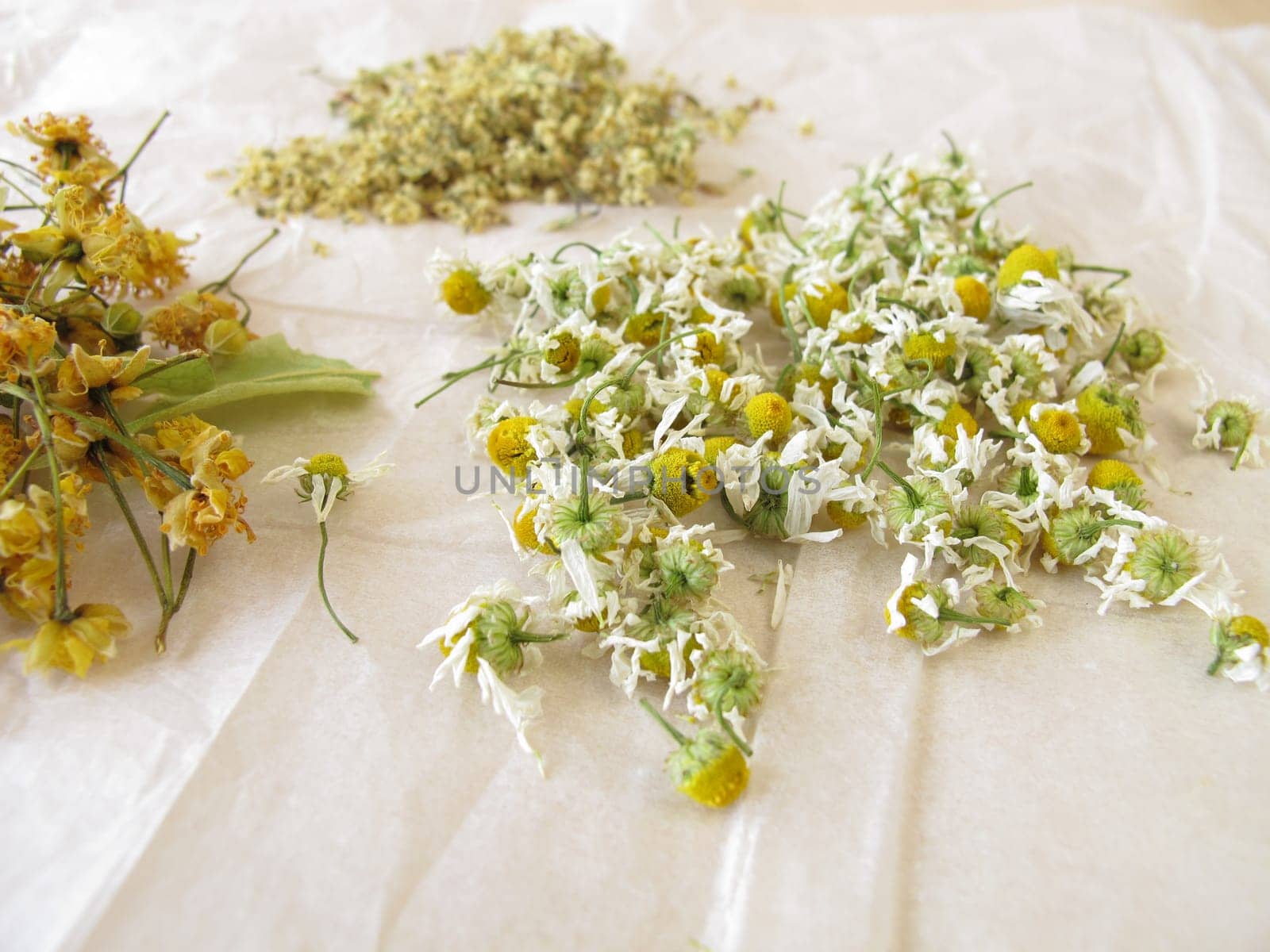 Chamomile flowers,elderflowers and lime blossoms to dry on white paper