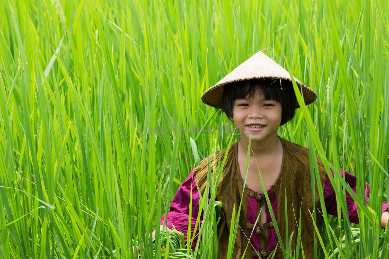 Girl in the rice field,small child in the tall grass