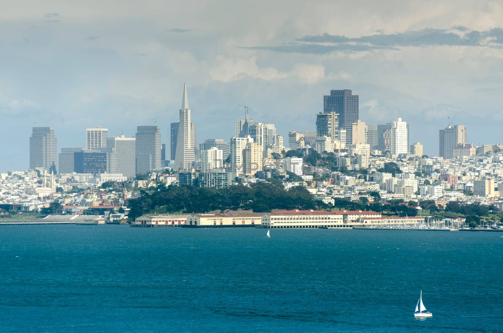 view of the city of San Francisco in California