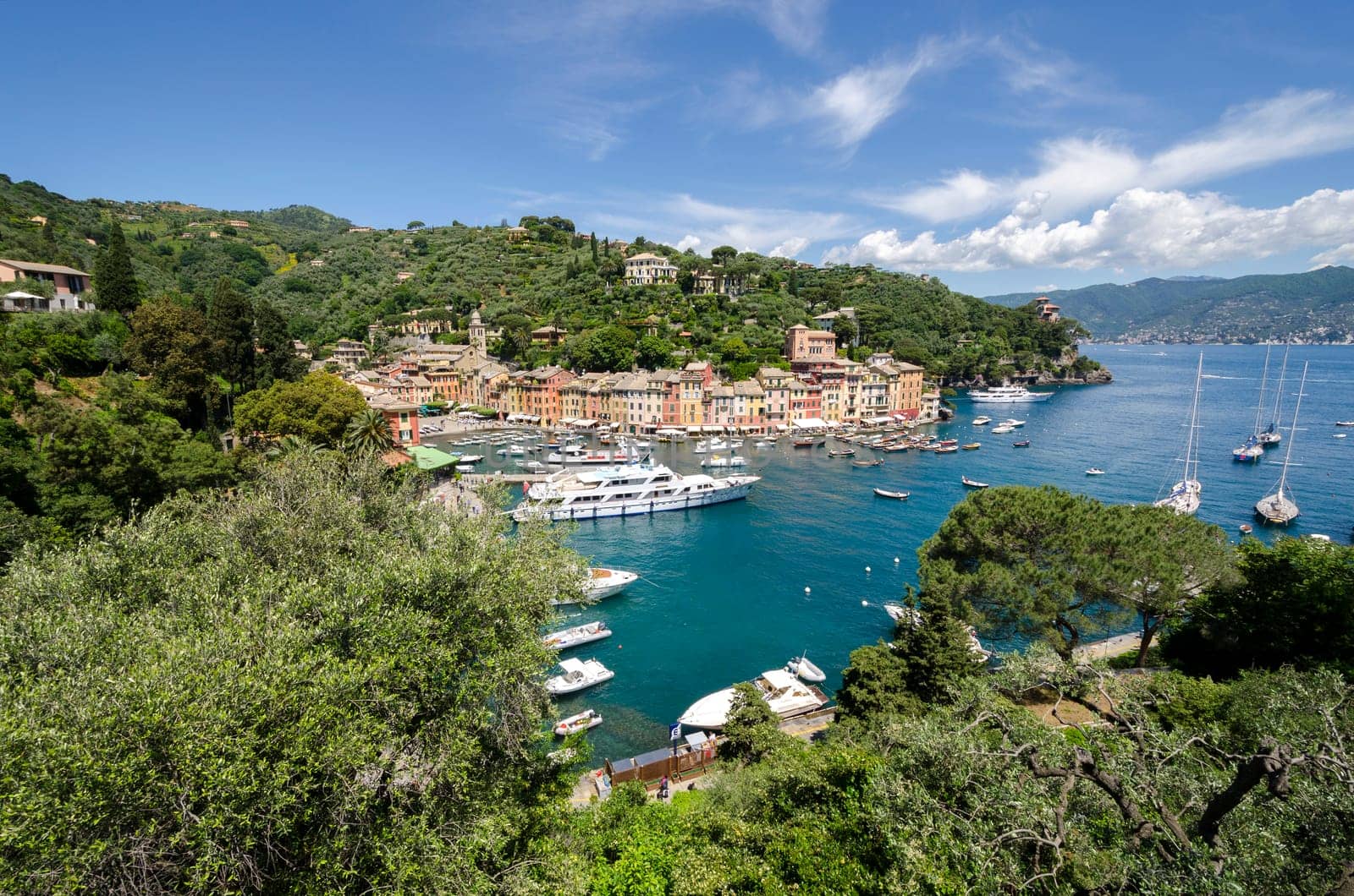 landscape between the sea and trees in Portofino