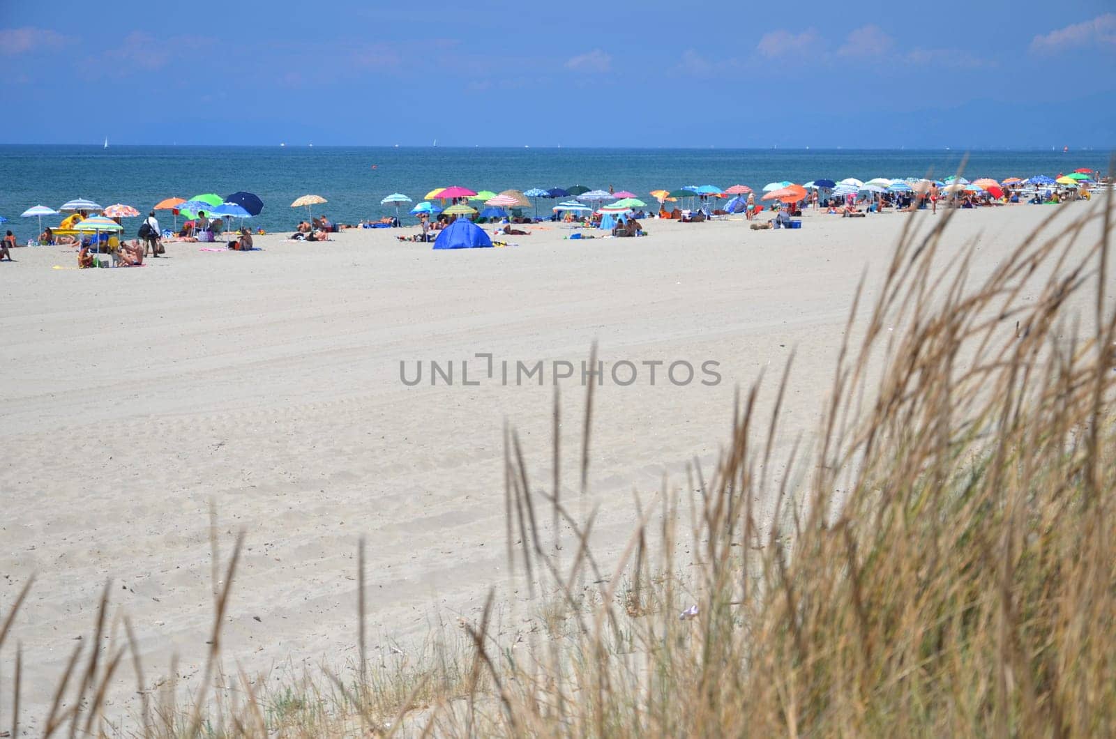 Picturesque view on Italian sandy beach Marina di Vecchiano nearby Pisa, Tuscany – Italy