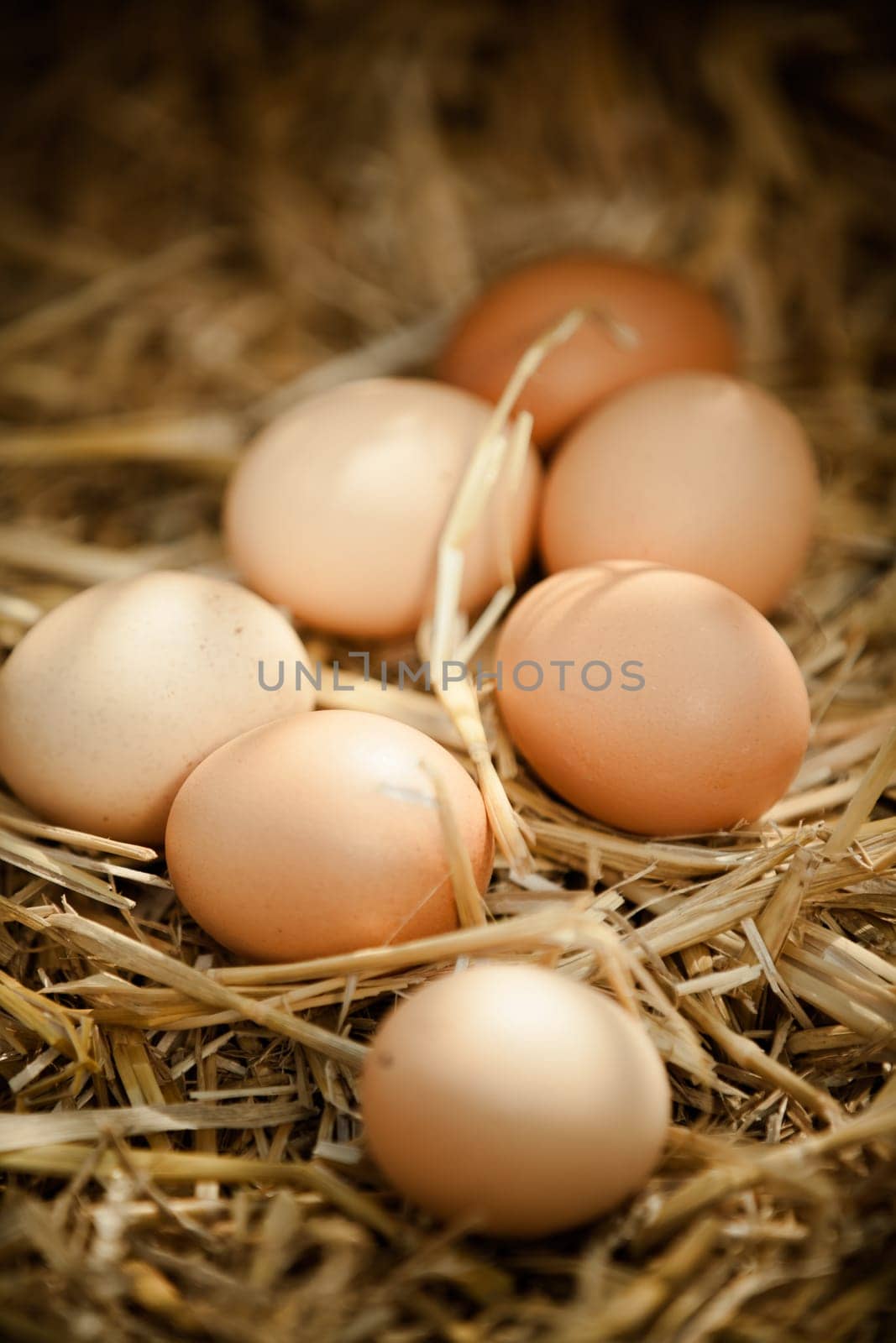 Vertical close-up of fresh raw brown eggs on straw