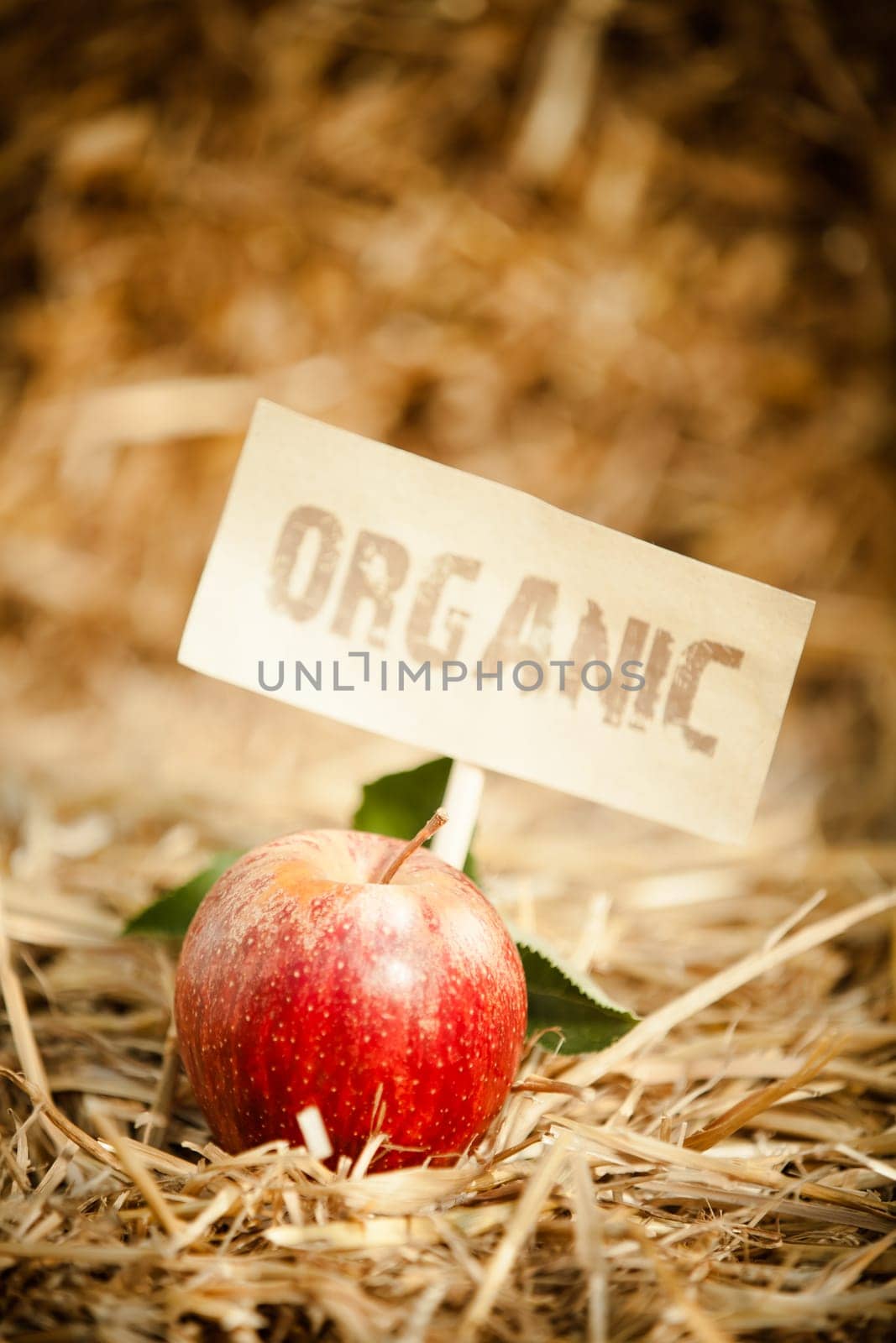 Close-up of fresh tasty red apple on straw, tagged as 'organic'