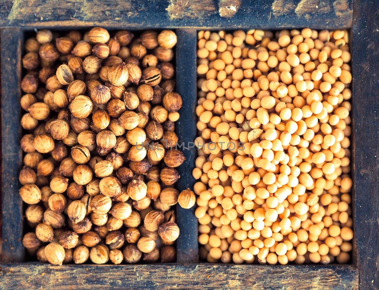 Overhead view of two varieties of dried mustard seeds, brown and white mustard, used as a flavouring in cookery