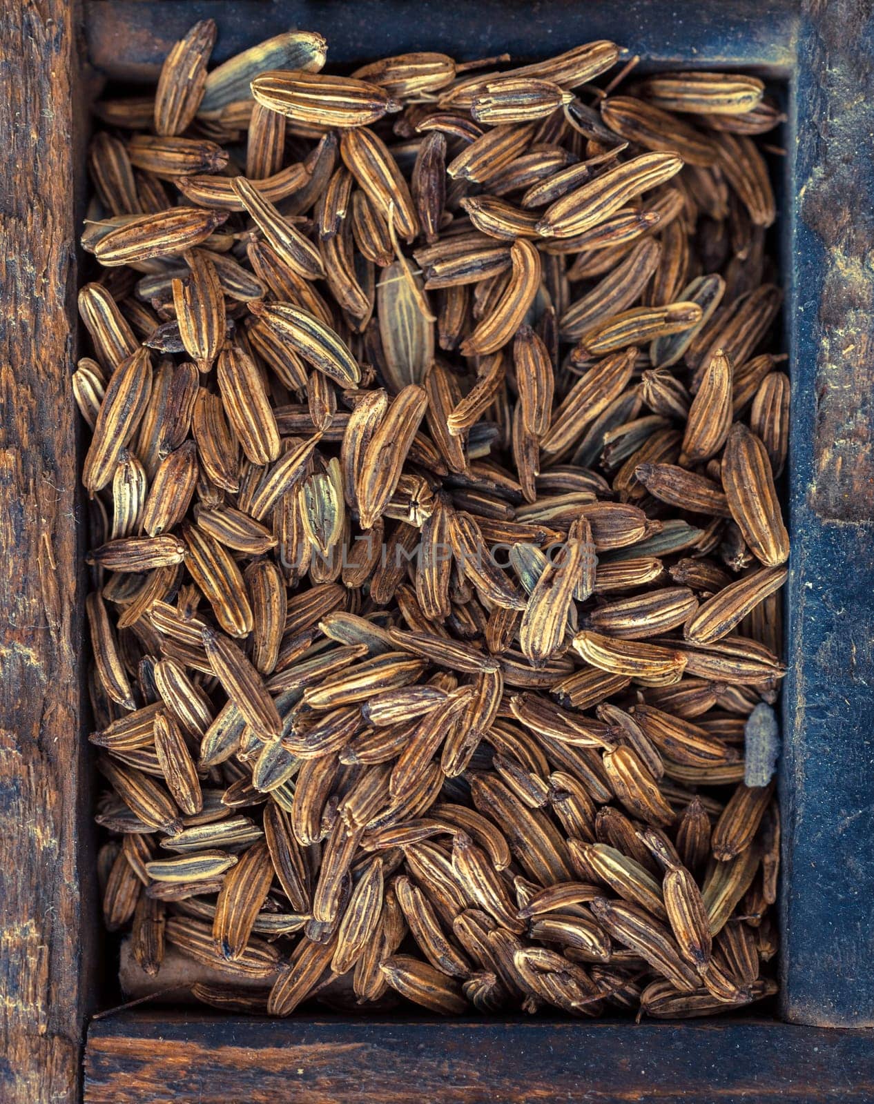 Overhead view of dried fennel seeds, one of the main ingredients of absinthe and used as a spice and flavouring in cooking