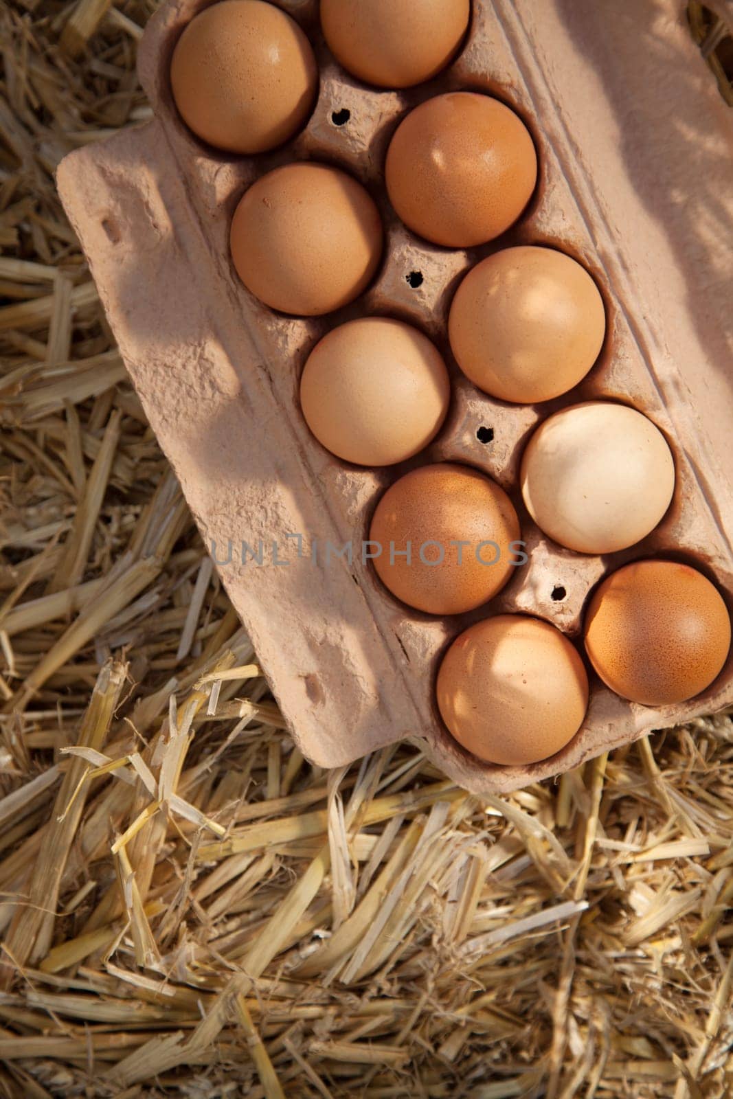 Close-up of ten brown eggs in a cardboard carton on straw, shot from high angle