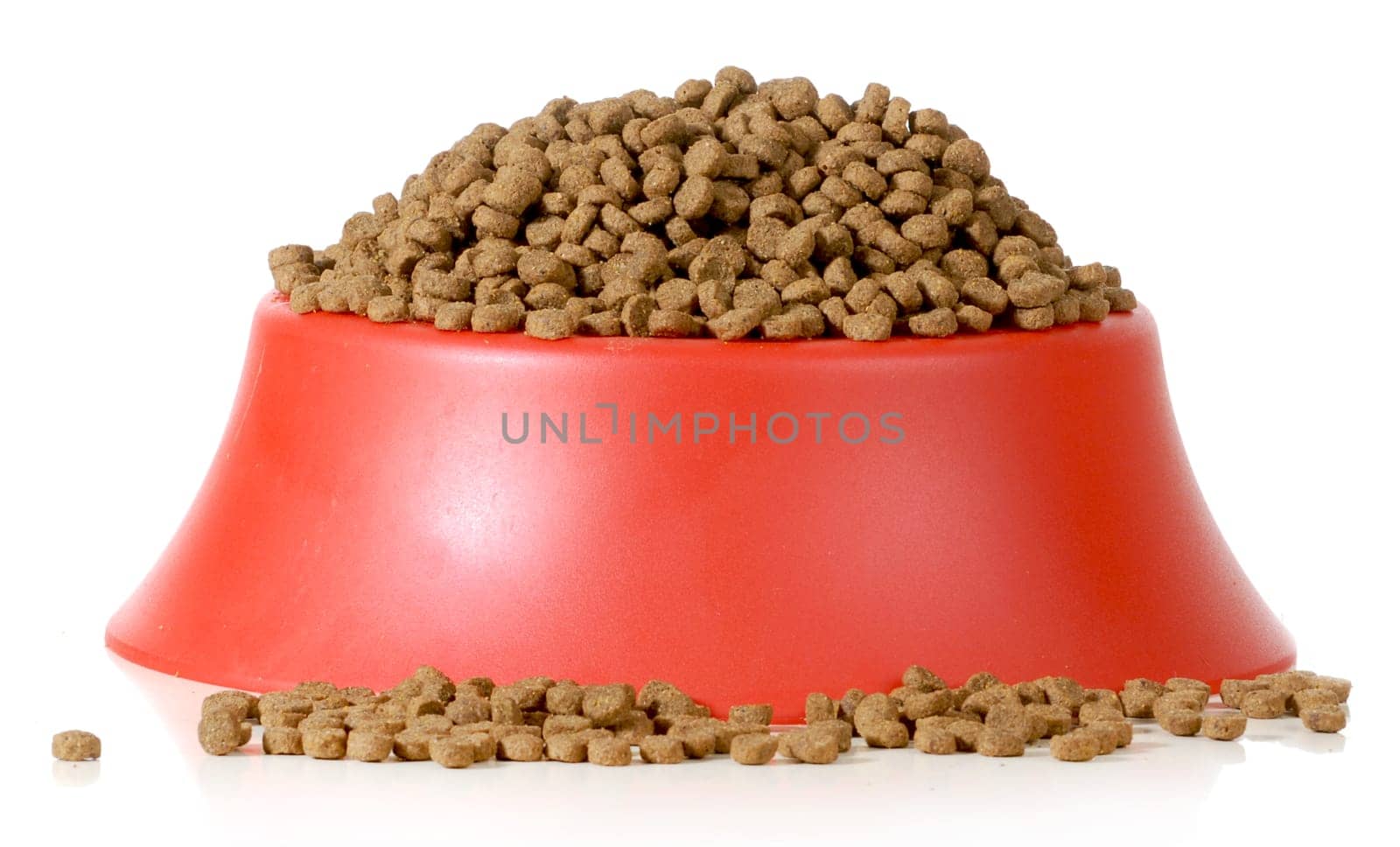 bowl of dog food isolated on white background