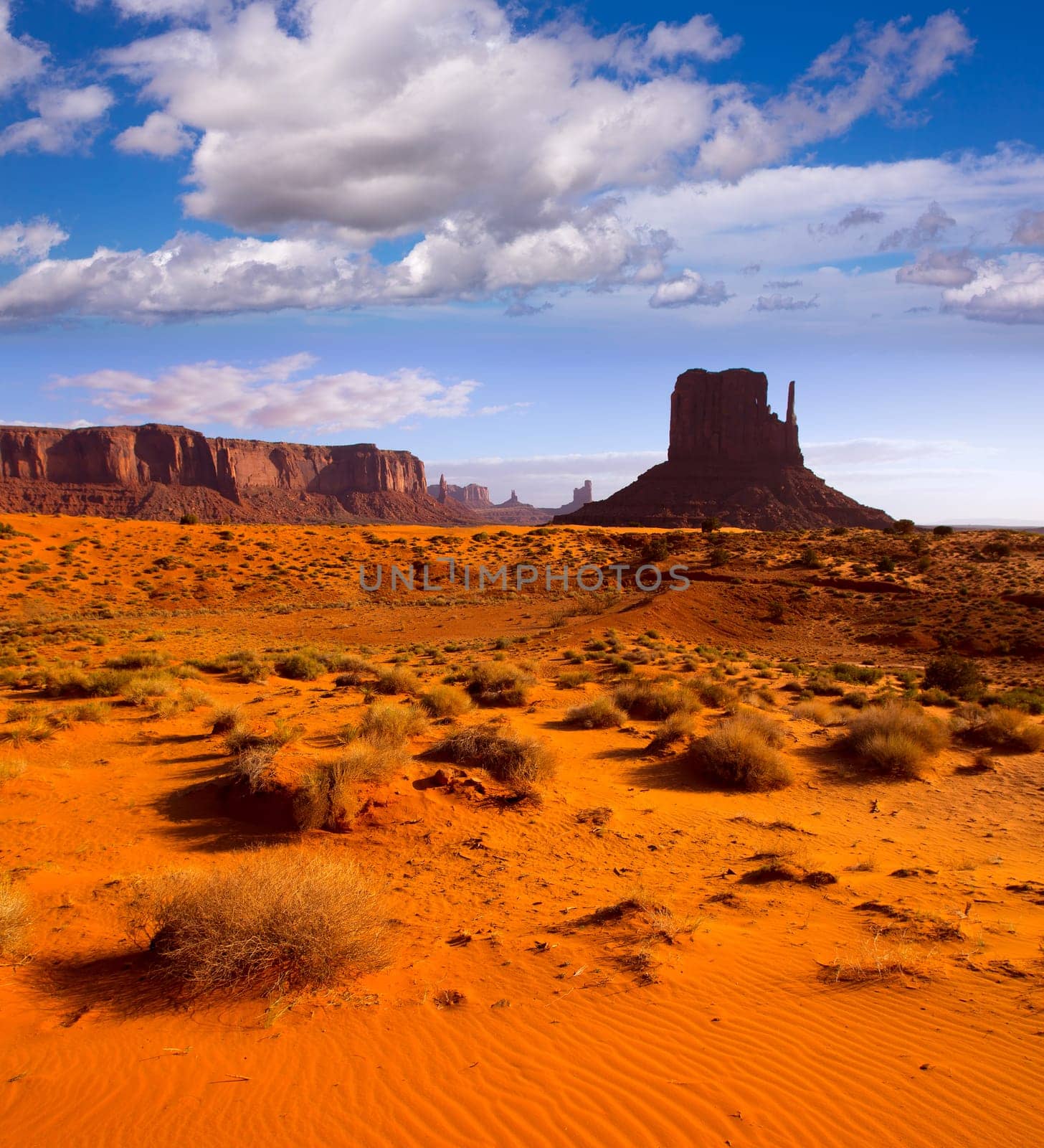 Monument West Mitten Butte in morning Utah National Park