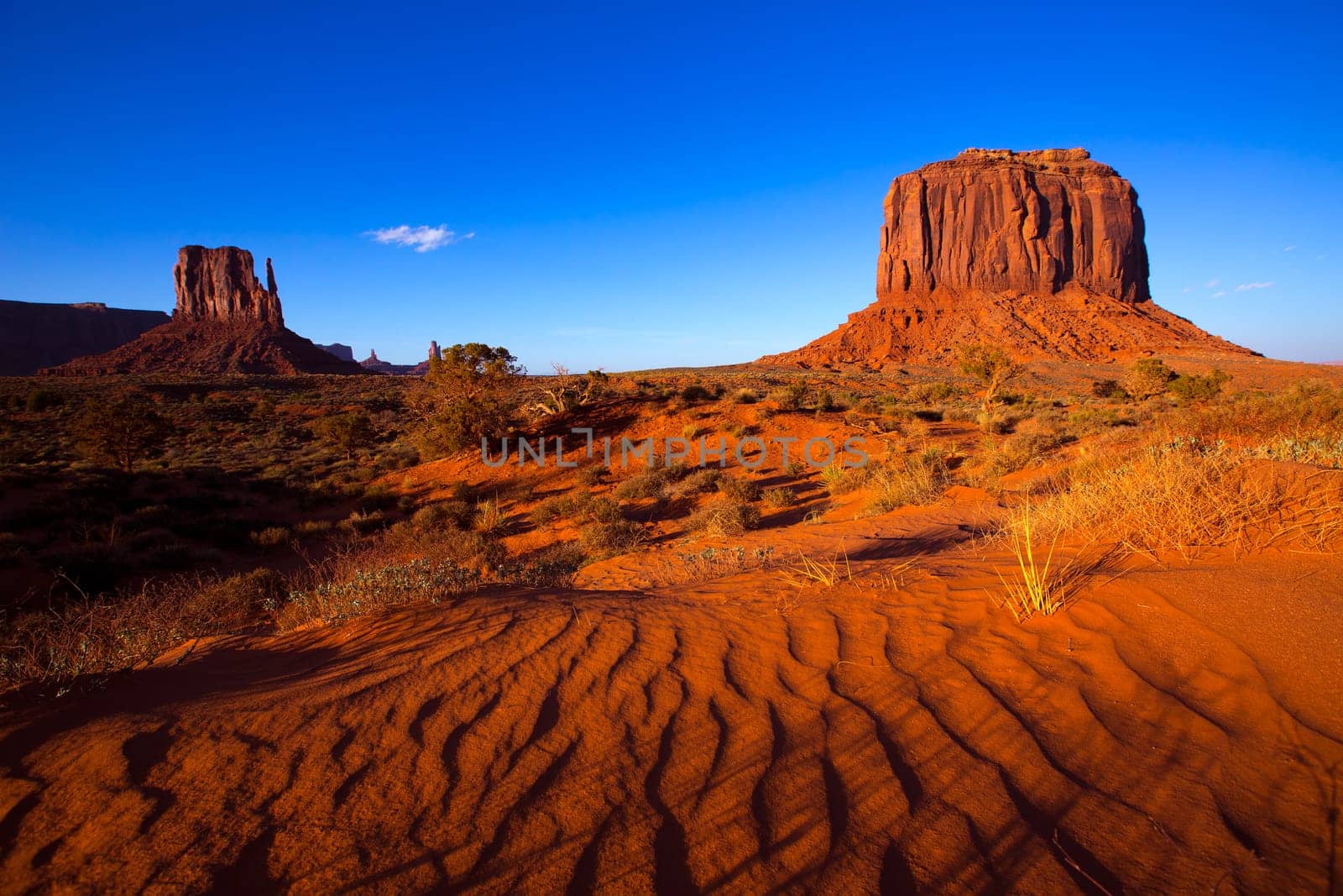 Monument Valley West Mitten and Merrick Butte desert sand dunes Utah