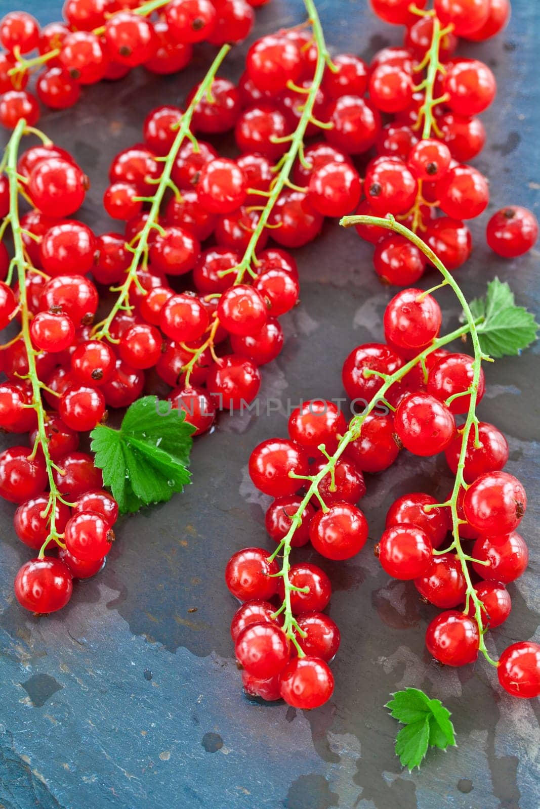 Fresh currants on rustic slate