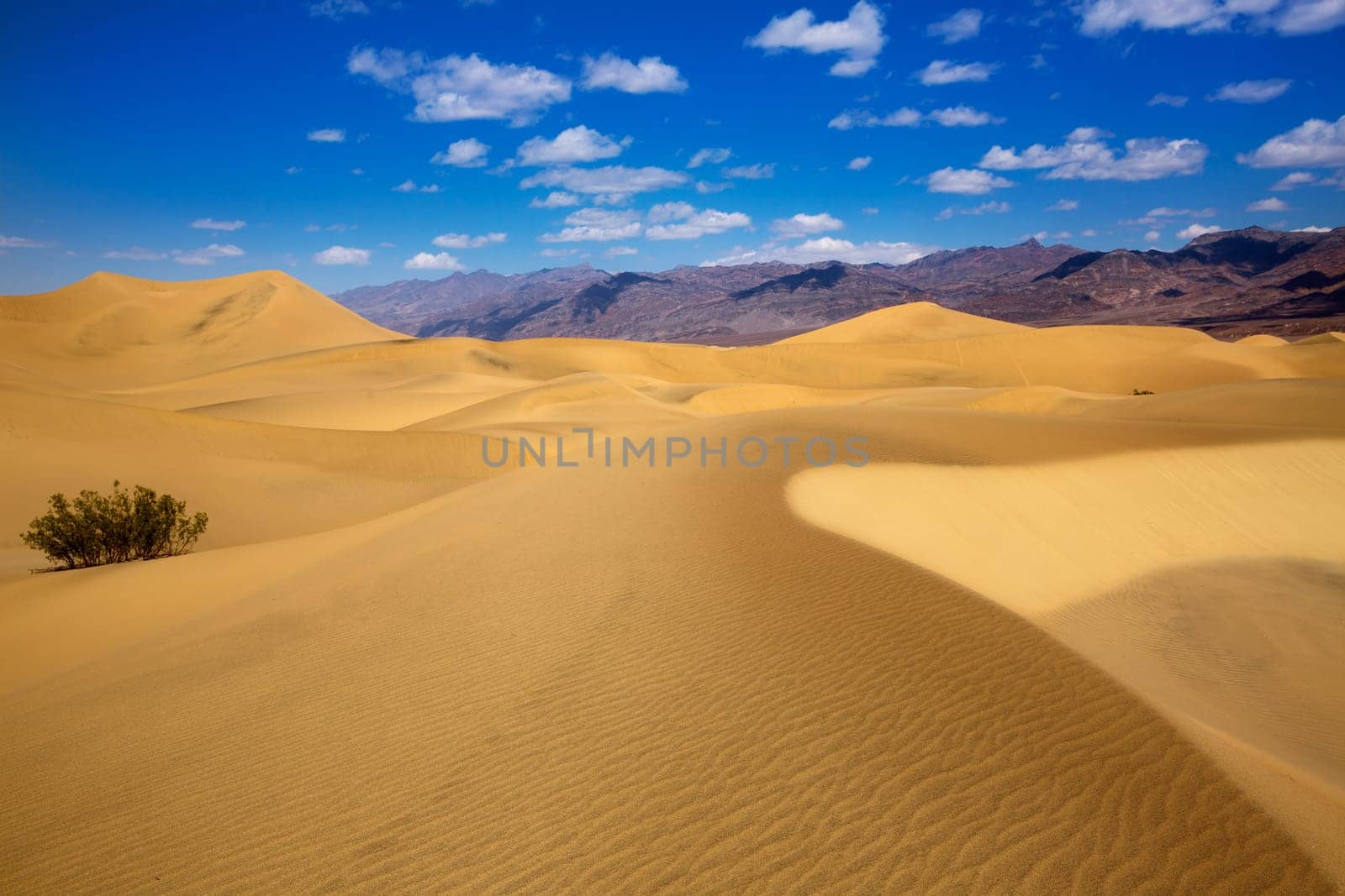 Mesquite Dunes desert in Death Valley National Park California