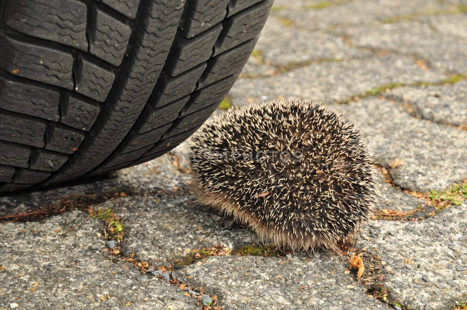 Emergency braking