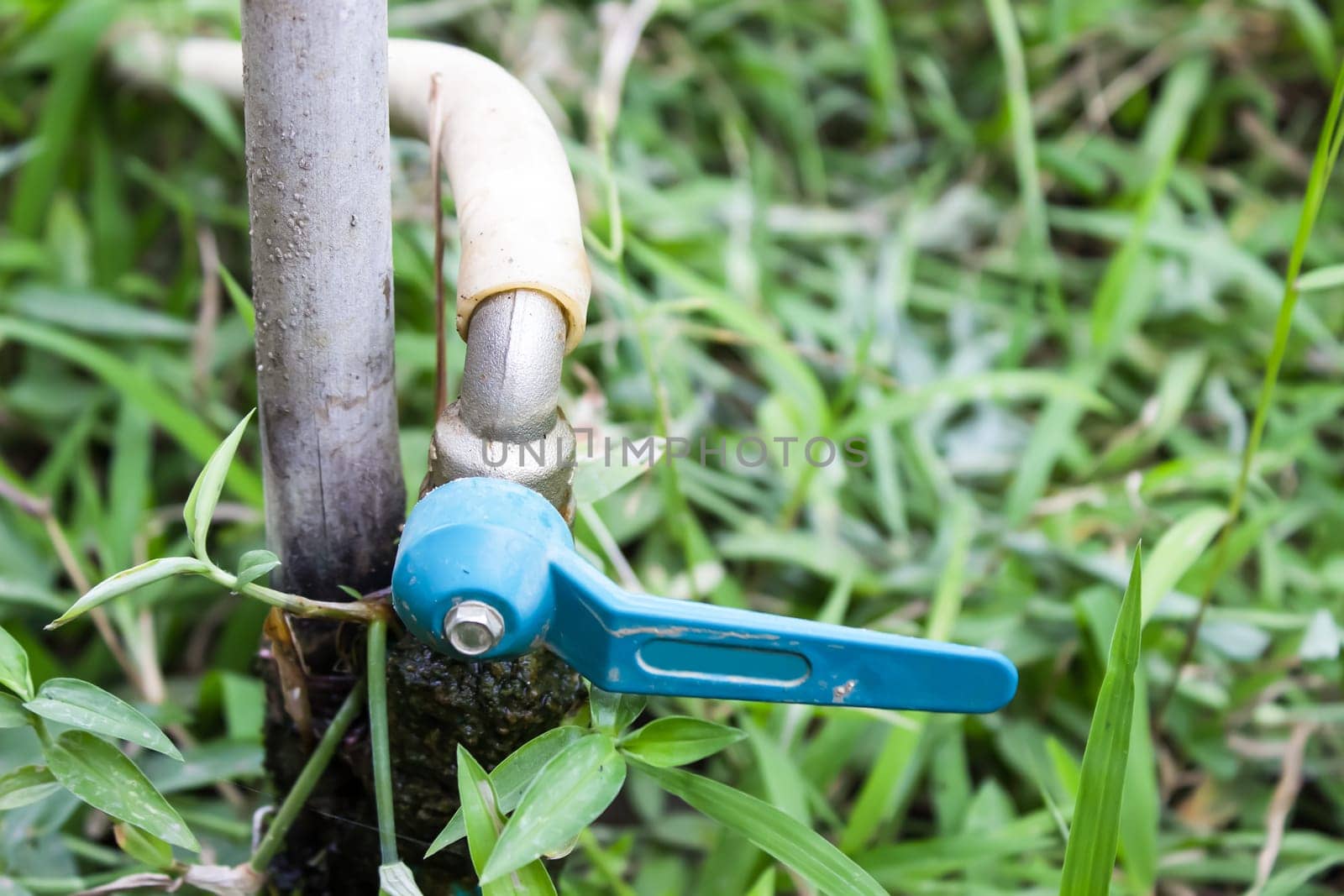 Old faucet in a grass