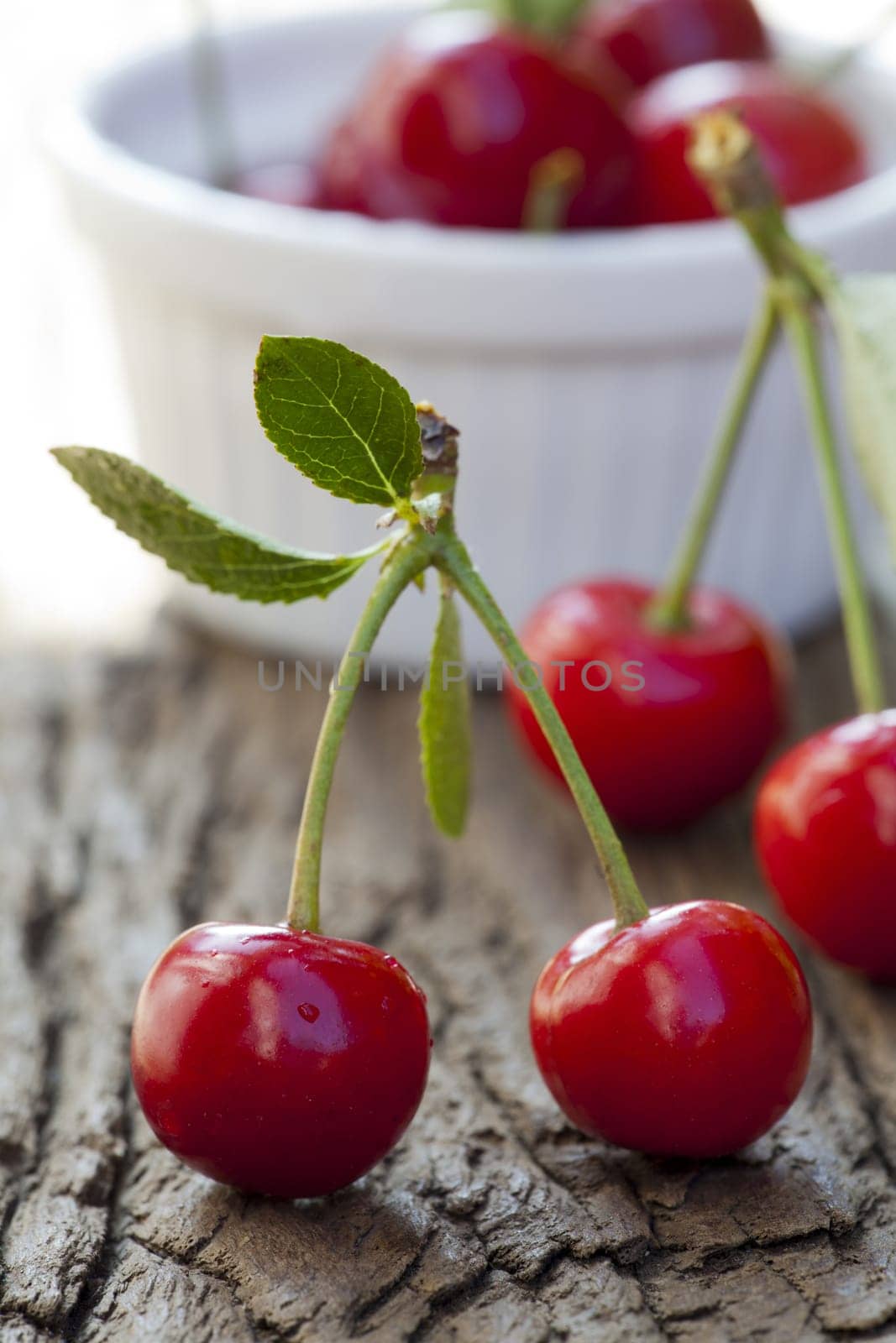 A pair of cherries with stem and leaves