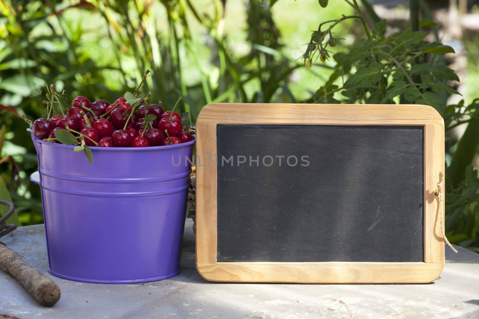 Buckets of cherries and a blank writable slate