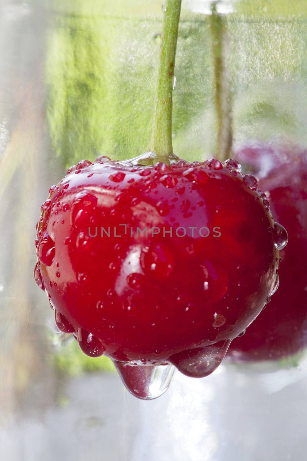 Single cherry with water drops as macro image