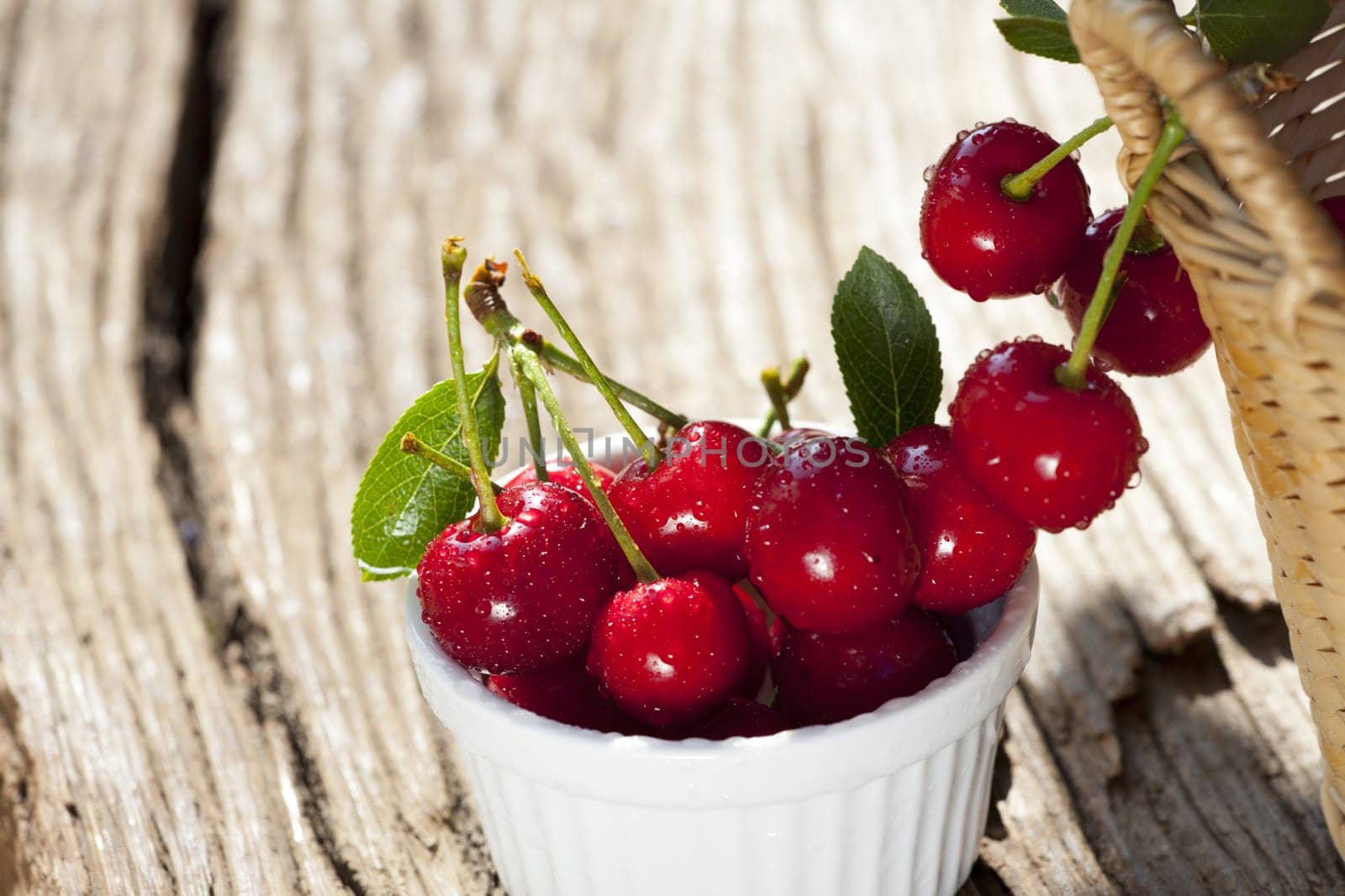 Juicy red cherries with sparkling drops of water