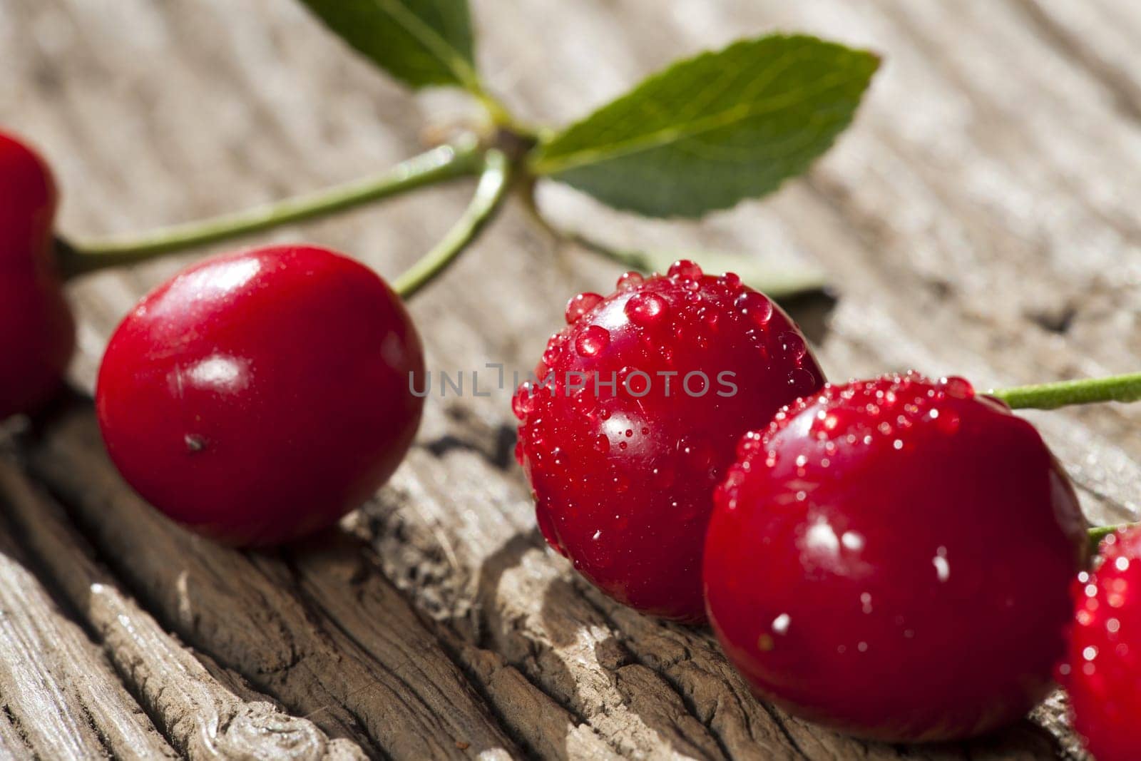 Cherries with water drops on rustic wooden table