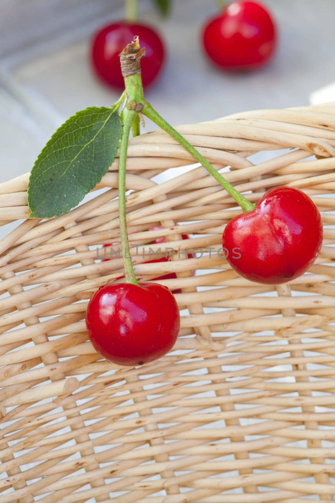 Two red cherries hang on the Korbrand
