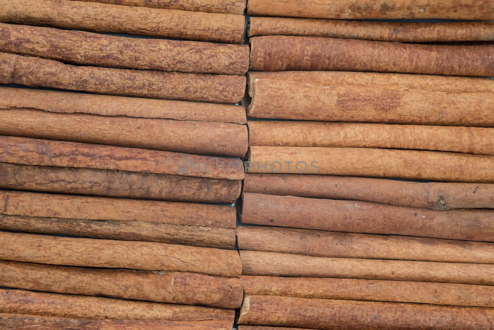 Cinnamon sticks set and star anise showing its wooden texture